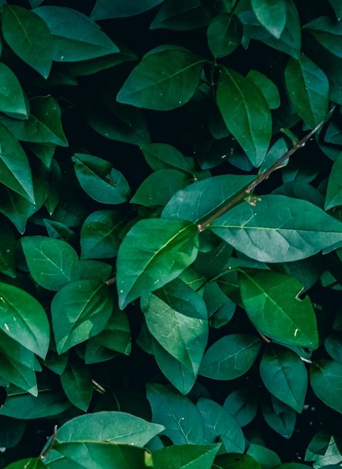 Authorisation and Designation Workflows